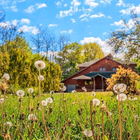 Amigosranch Villa Kruševac Eksteriør bilde