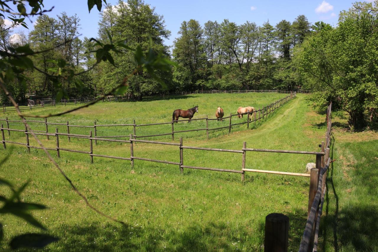 Amigosranch Villa Kruševac Eksteriør bilde