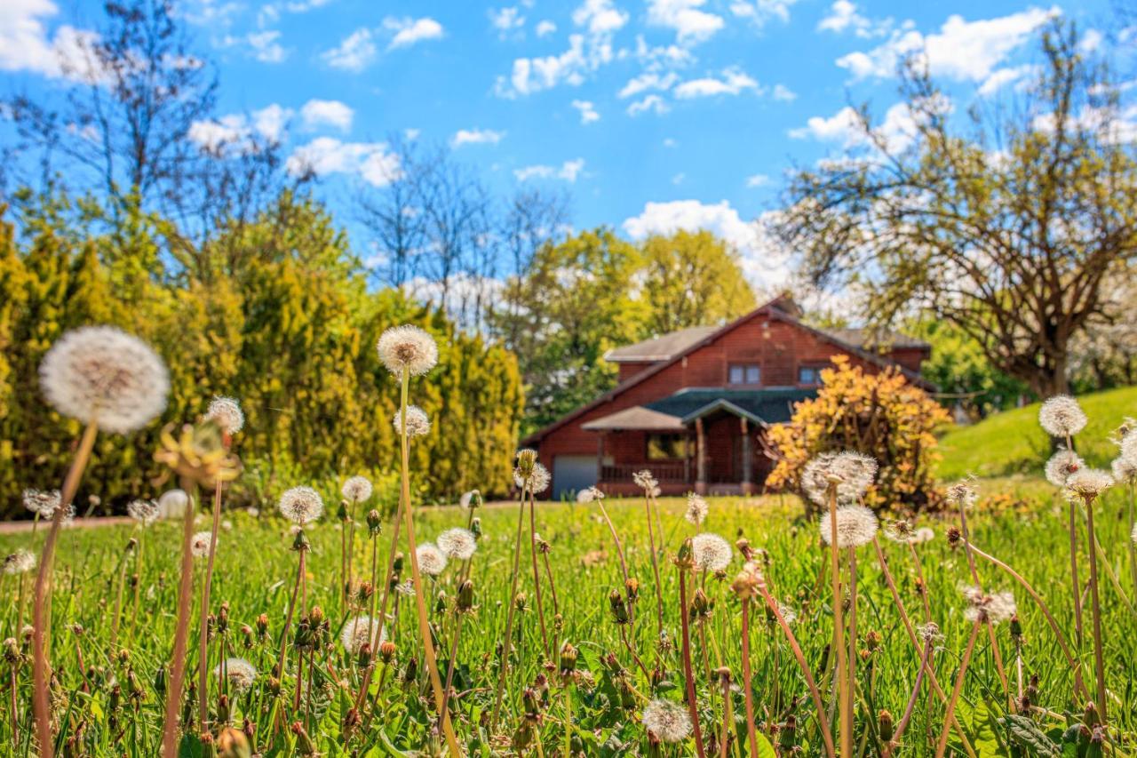 Amigosranch Villa Kruševac Eksteriør bilde