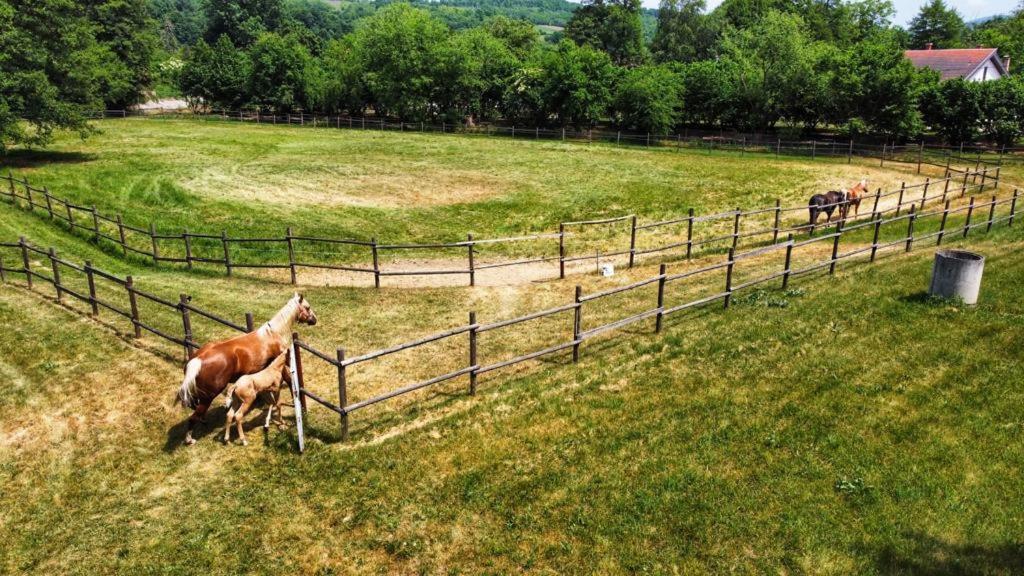 Amigosranch Villa Kruševac Eksteriør bilde