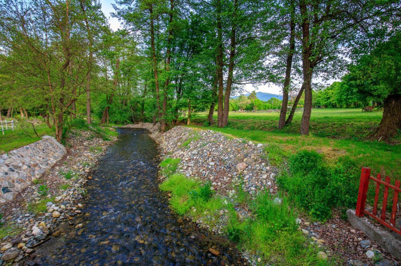 Amigosranch Villa Kruševac Eksteriør bilde
