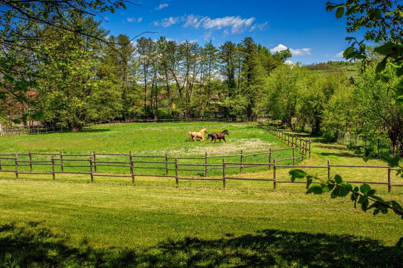 Amigosranch Villa Kruševac Eksteriør bilde